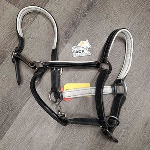 Padded Soft Leather Halter, adj, snap *gc/vgc, clean & mnr dirt?dust, rubs, scraped & peeled edges, creases, dry, rust?
