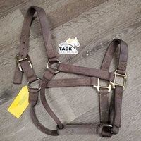 Thick Nylon Halter *gc, clean, rubs, stains, faded, frayed holes
