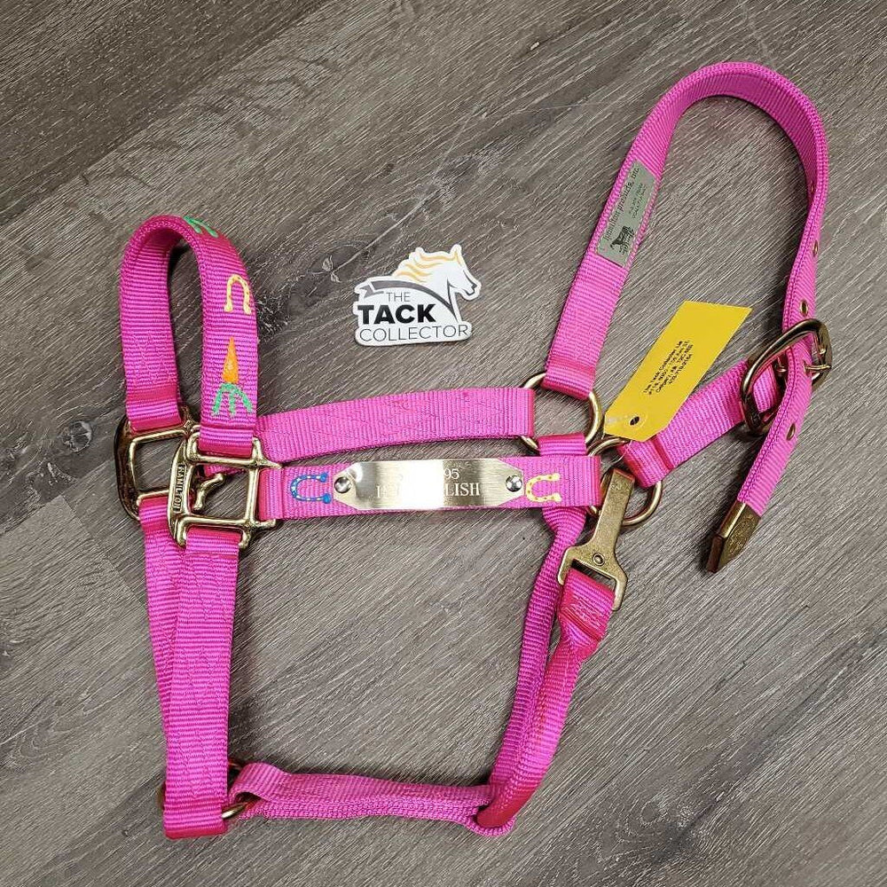 Nylon Halter, spring snap, metal plate, horseshoe design *xc, older