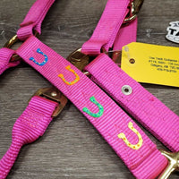 Nylon Halter, spring snap, metal plate, horseshoe design *xc, older
