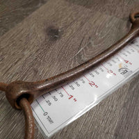 VINTAGE Thin Mullen Mouth Loose Ring Bit *gc, clean, v.rusty