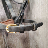 Rsd Padded Double Stitch Leather Bridle, Fancy Buckles *vgc, clean & dirty, stiff, xhole, NO Flash or Reins
