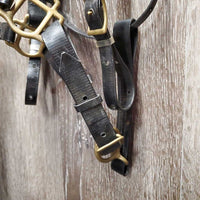Light Biothane Endurance Trial Halter - Bridle, 2 Snap on Cheeks, Breastplate, Girth Attachment *vgc, dirt & film, older?, rust

