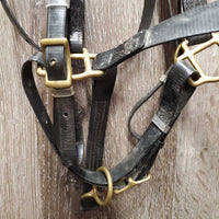Light Biothane Endurance Trial Halter - Bridle, 2 Snap on Cheeks, Breastplate, Girth Attachment *vgc, dirt & film, older?, rust
