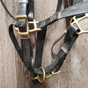 Light Biothane Endurance Trial Halter - Bridle, 2 Snap on Cheeks, Breastplate, Girth Attachment *vgc, dirt & film, older?, rust