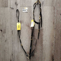 Light Biothane Endurance Trial Halter - Bridle, 2 Snap on Cheeks, Breastplate, Girth Attachment *vgc, dirt & film, older?, rust

