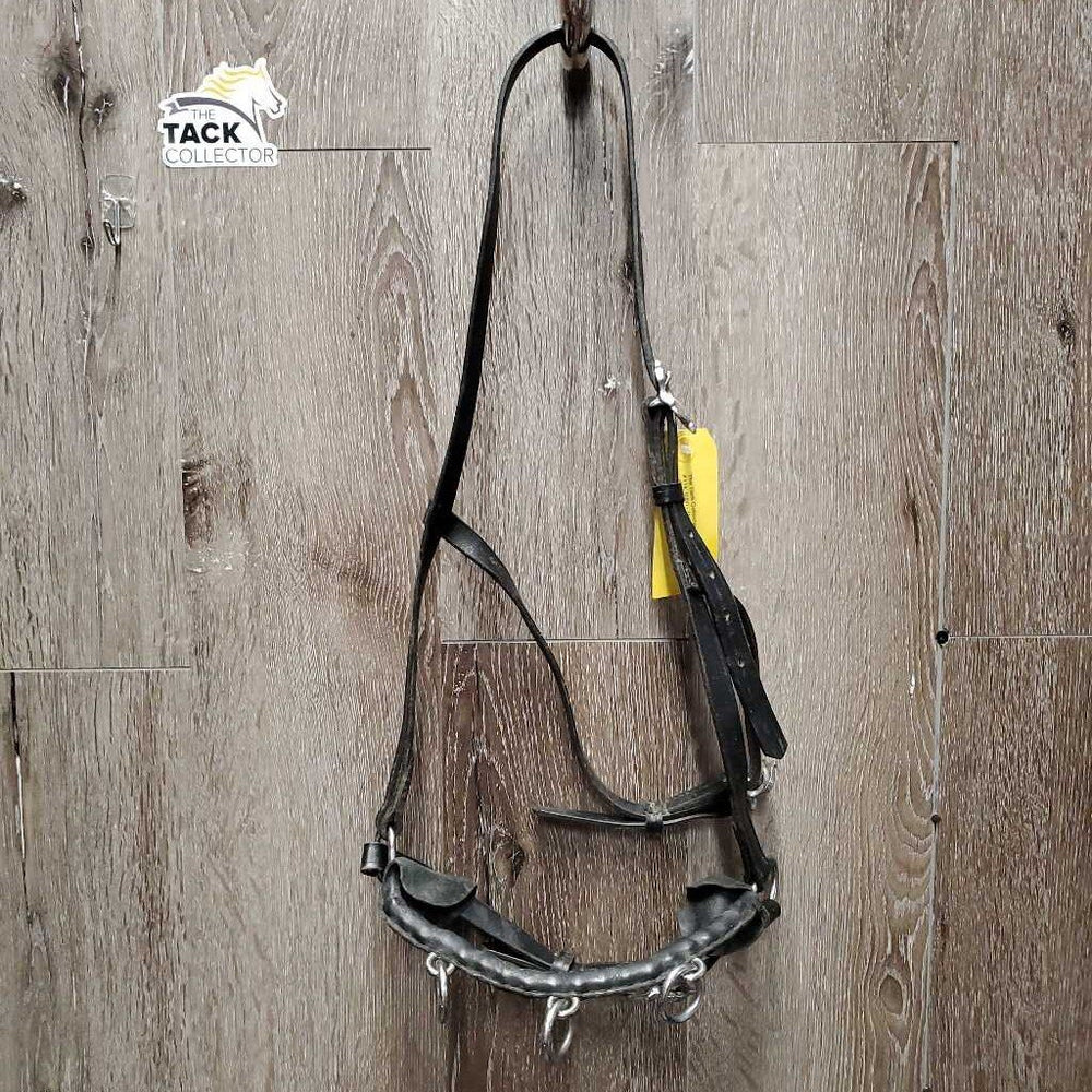 Portugese Narrow Lungeing Cavesson, 3 Ring Leather Covered Bike Chain Narrow Noseband *gc, clean, scrapes, mnr film & dirt, No Browband