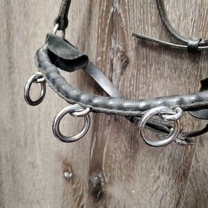 Portugese Narrow Lungeing Cavesson, 3 Ring Leather Covered Bike Chain Narrow Noseband *gc, clean, scrapes, mnr film & dirt, No Browband