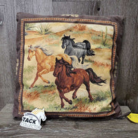 Decorative Pillow, zipper *gc, faded, rubs
