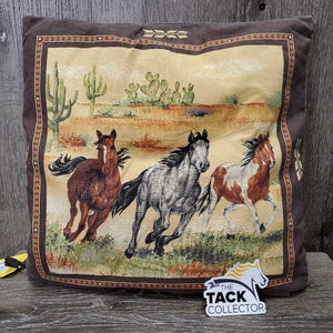 Decorative Pillow, zipper *gc, faded, rubs