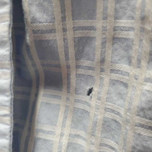 LS Show Shirt, magnetic collar *gc, older, faded, fuzzy, v.puckered & crinkled, shrunk