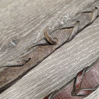 Thick Braided Reins *fair, broken/missing laces, dirt, resideu
