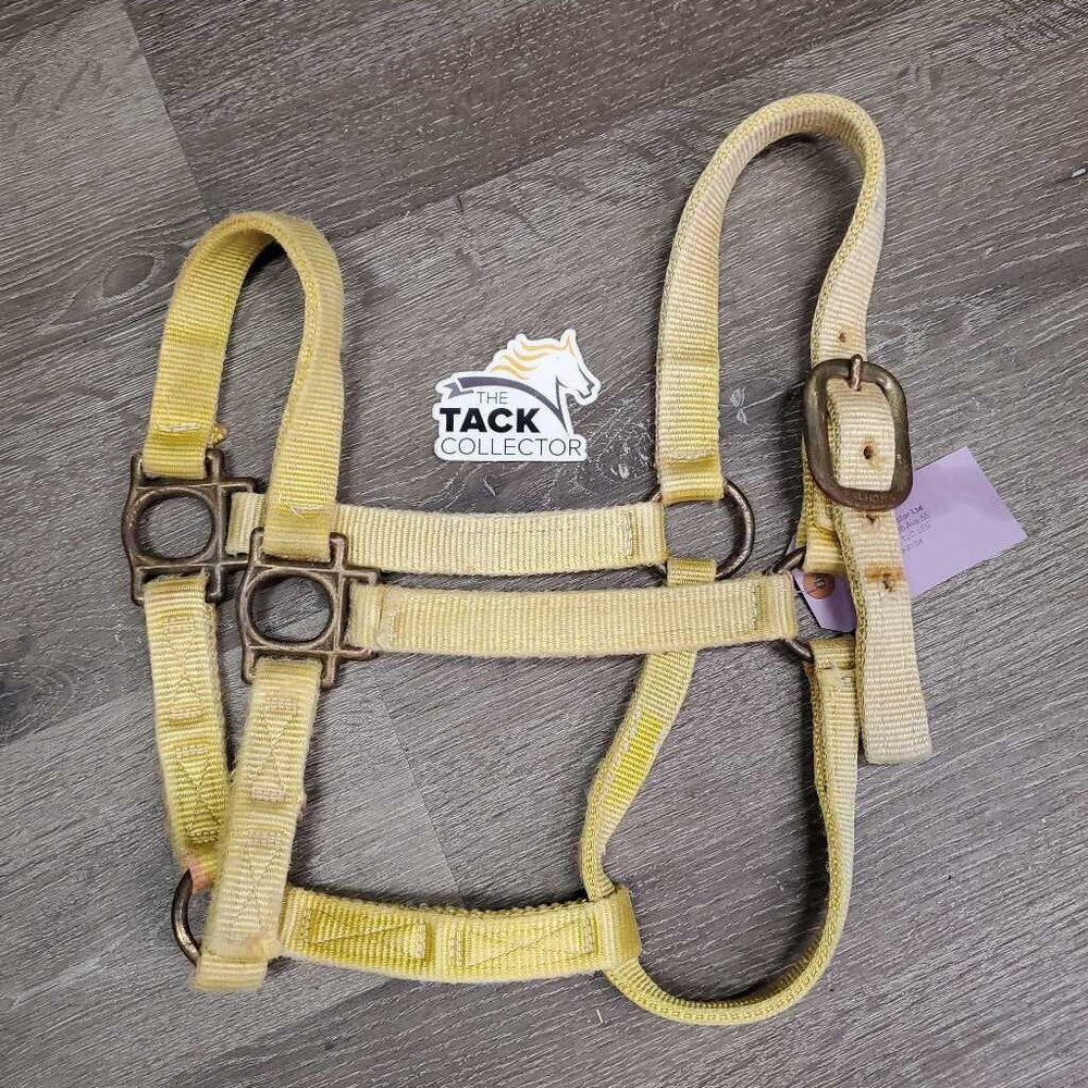 Thick Nylon Halter *gc, v.faded, stained, clean, rubs, frays, rust, older