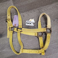 Thick Nylon Halter *gc, v.faded, stained, clean, rubs, frays, rust, older
