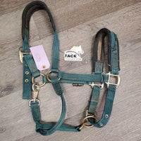 Nylon Padded Halter, snap *gc/fair, tape, dirt, rubs, rust, peeled nose, older
