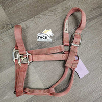 Thick Nylon Halter *gc/fair, faded, v.stained, dirty, rubs, separating/unstitched crown