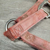 Thick Nylon Halter *gc/fair, faded, v.stained, dirty, rubs, separating/unstitched crown
