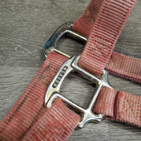 Thick Nylon Halter *gc/fair, faded, v.stained, dirty, rubs, separating/unstitched crown
