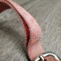 Thick Nylon Halter *gc/fair, faded, v.stained, dirty, rubs, separating/unstitched crown