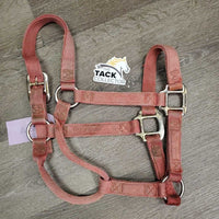 Thick Nylon Halter *gc/fair, faded, v.stained, dirty, rubs, separating/unstitched crown
