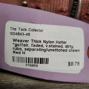 Thick Nylon Halter *gc/fair, faded, v.stained, dirty, rubs, separating/unstitched crown
