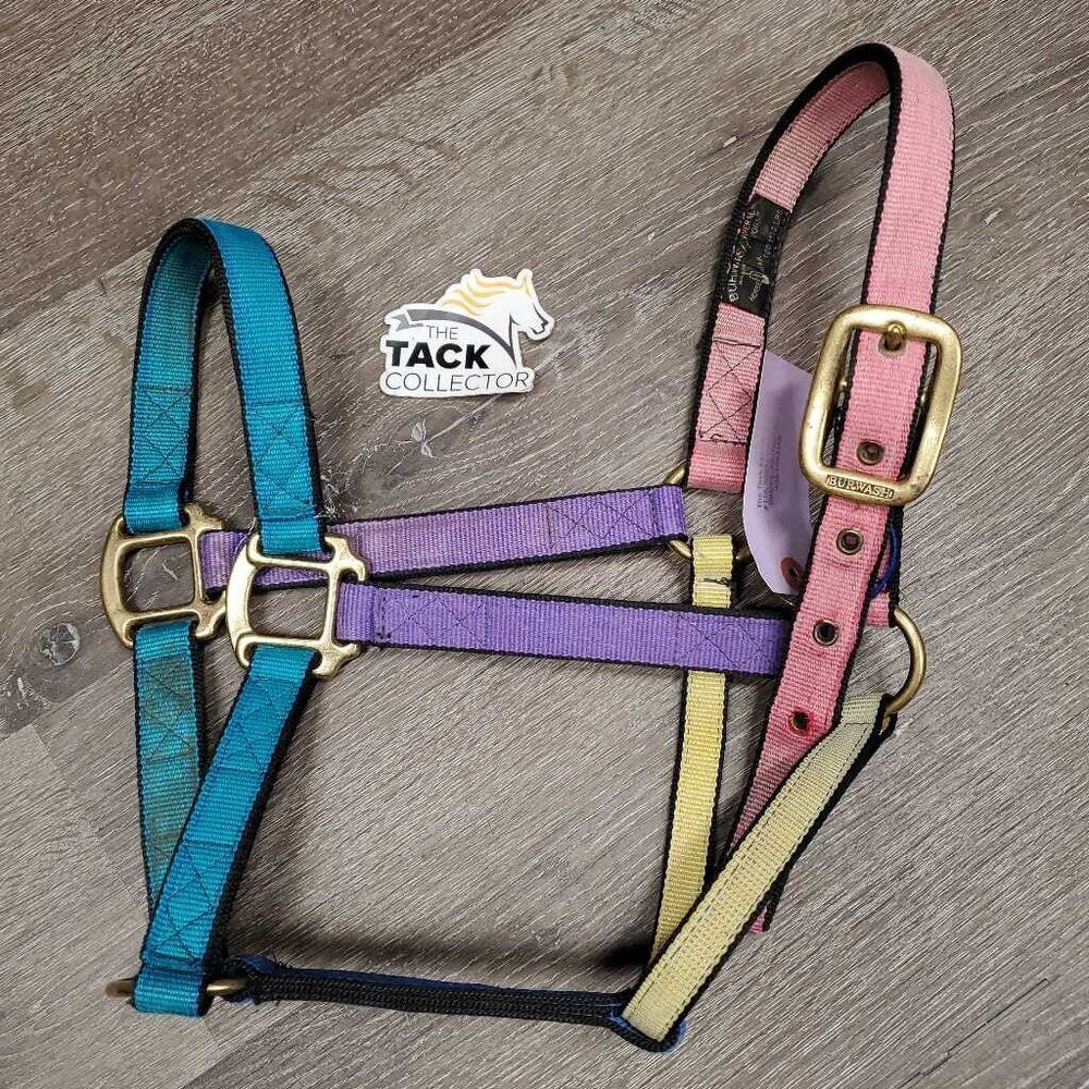 Stiff Nylon Halter *gc, faded, rubs, hair, clean, stains, edge rubs