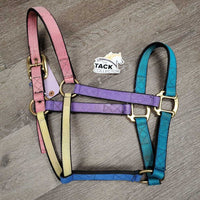 Stiff Nylon Halter *gc, faded, rubs, hair, clean, stains, edge rubs