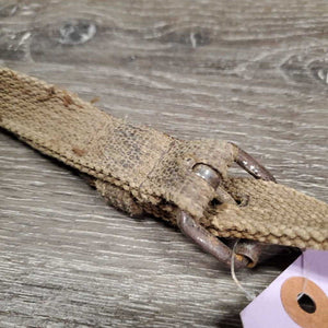 Thick Nylon Draw Reins, loop ends *fair, dirty, rusty, older, stains, slices, rips, frays, stiff