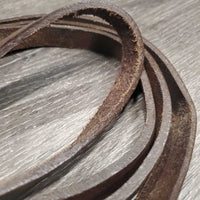 1 Only Split Rein, snap *gc, dirty, twisted, stiff, dry, smell