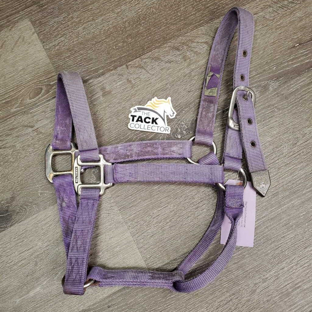 Thick Nylon Halter *gc, faded, v.stained, dirty, rubs