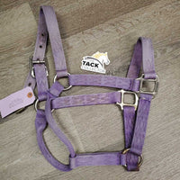 Thick Nylon Halter *gc, faded, v.stained, dirty, rubs
