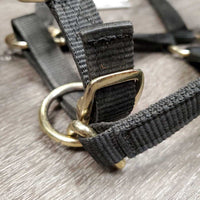 Nylon Halter, adj *gc, dirty, edge rubs, snags/frays, faded
