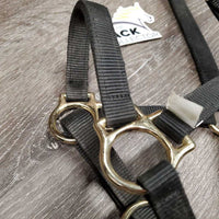 Nylon Halter, adj *gc, dirty, edge rubs, snags/frays, faded
