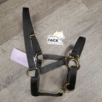 Nylon Halter, adj *gc, dirty, edge rubs, snags/frays, faded
