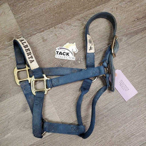 Thick Nylon Halter "Reining Alberta" *gc, faded, v.stained, dirty, rubs