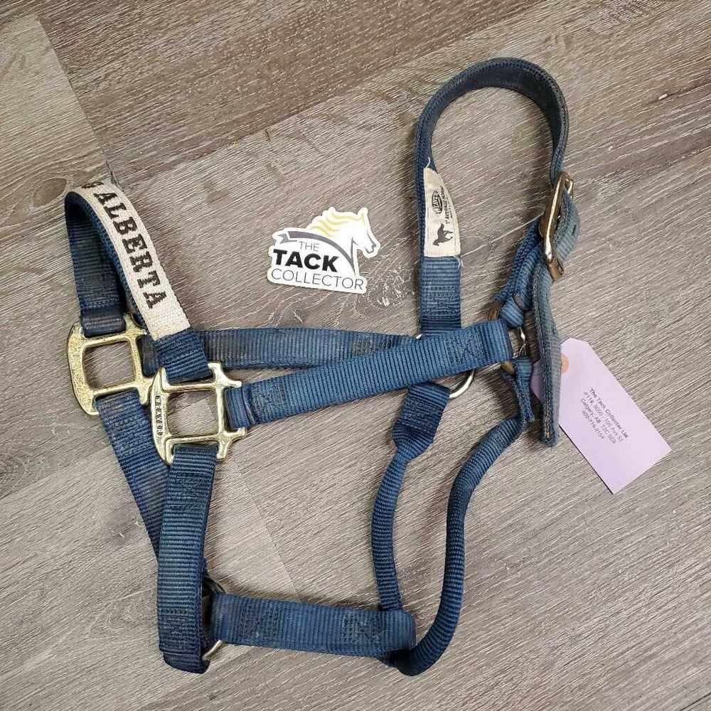 Thick Nylon Halter 