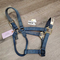 Thick Nylon Halter "Reining Alberta" *gc, faded, v.stained, dirty, rubs