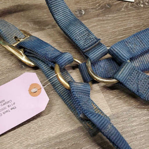 Thick Nylon Halter "Reining Alberta" *gc, faded, v.stained, dirty, rubs