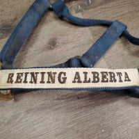Thick Nylon Halter "Reining Alberta" *gc, faded, v.stained, dirty, rubs