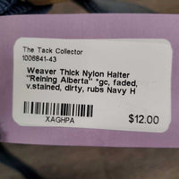 Thick Nylon Halter "Reining Alberta" *gc, faded, v.stained, dirty, rubs
