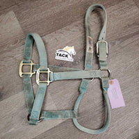Thick Nylon Halter *gc, v.dirty, faded, stained, edge rubs & frays