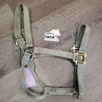Thick Nylon Halter *gc, faded, v.stained, dirty, rubs
