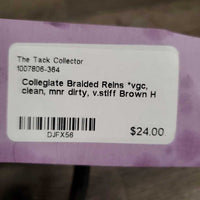 Braided Reins *vgc, clean, mnr dirty, v.stiff
