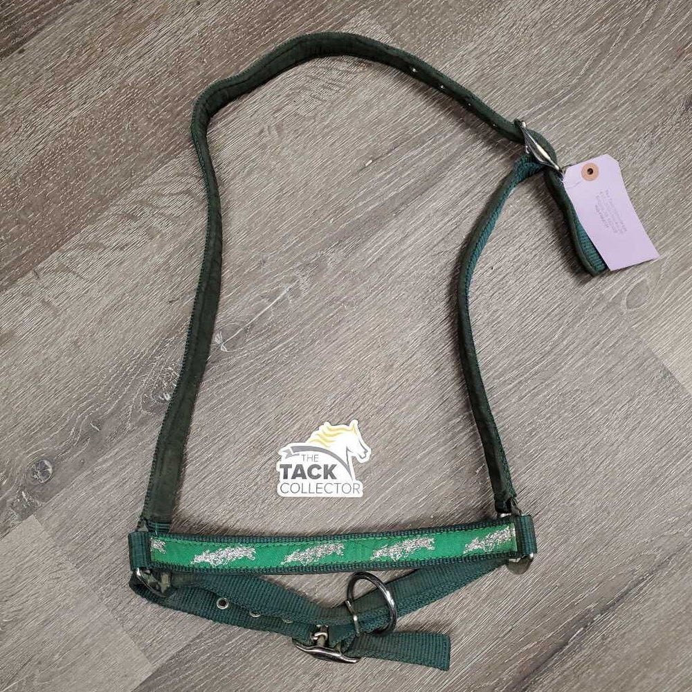 Padded Nylon Grooming Halter *gc/fair, dirty, cracking & peelling, stickyish, hair