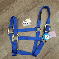 Padded Nylon Grooming Halter *gc/fair, dirty, cracking & peelling, stickyish, hair