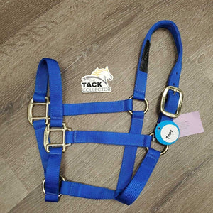 Padded Nylon Grooming Halter *gc/fair, dirty, cracking & peelling, stickyish, hair