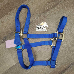 Padded Nylon Grooming Halter *gc/fair, dirty, cracking & peelling, stickyish, hair