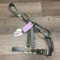 Thick Nylon Halter, adj, snap *gc, v.faded, v.stained, rubs, frays
