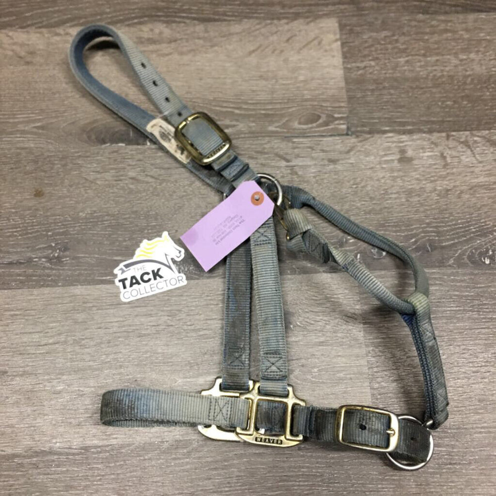 Thick Nylon Halter, adj, snap *gc, v.faded, v.stained, rubs, frays