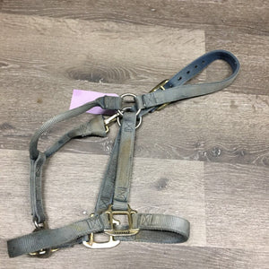 Thick Nylon Halter, adj, snap *gc, v.faded, v.stained, rubs, frays